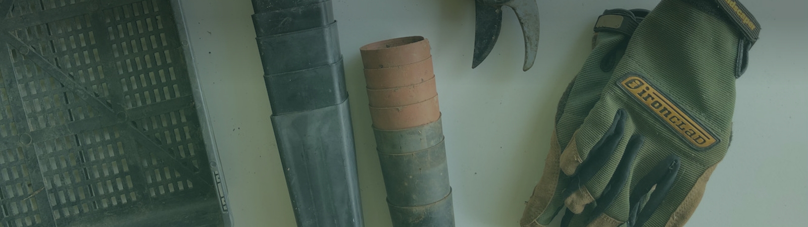 Services Pacific Reforestation